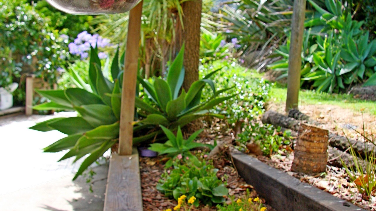 Photo of Outdoor in Surfdale