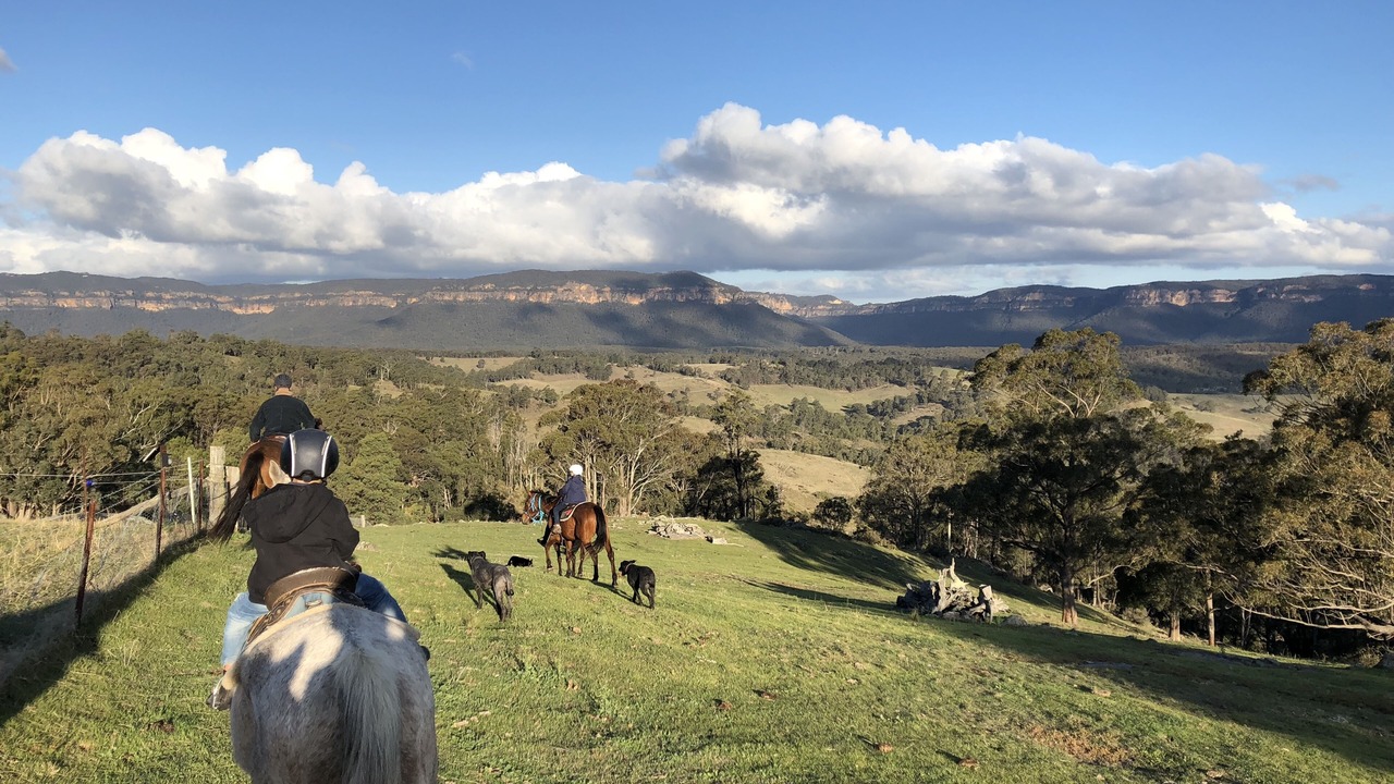 Photo of Outdoor in Megalong Valley