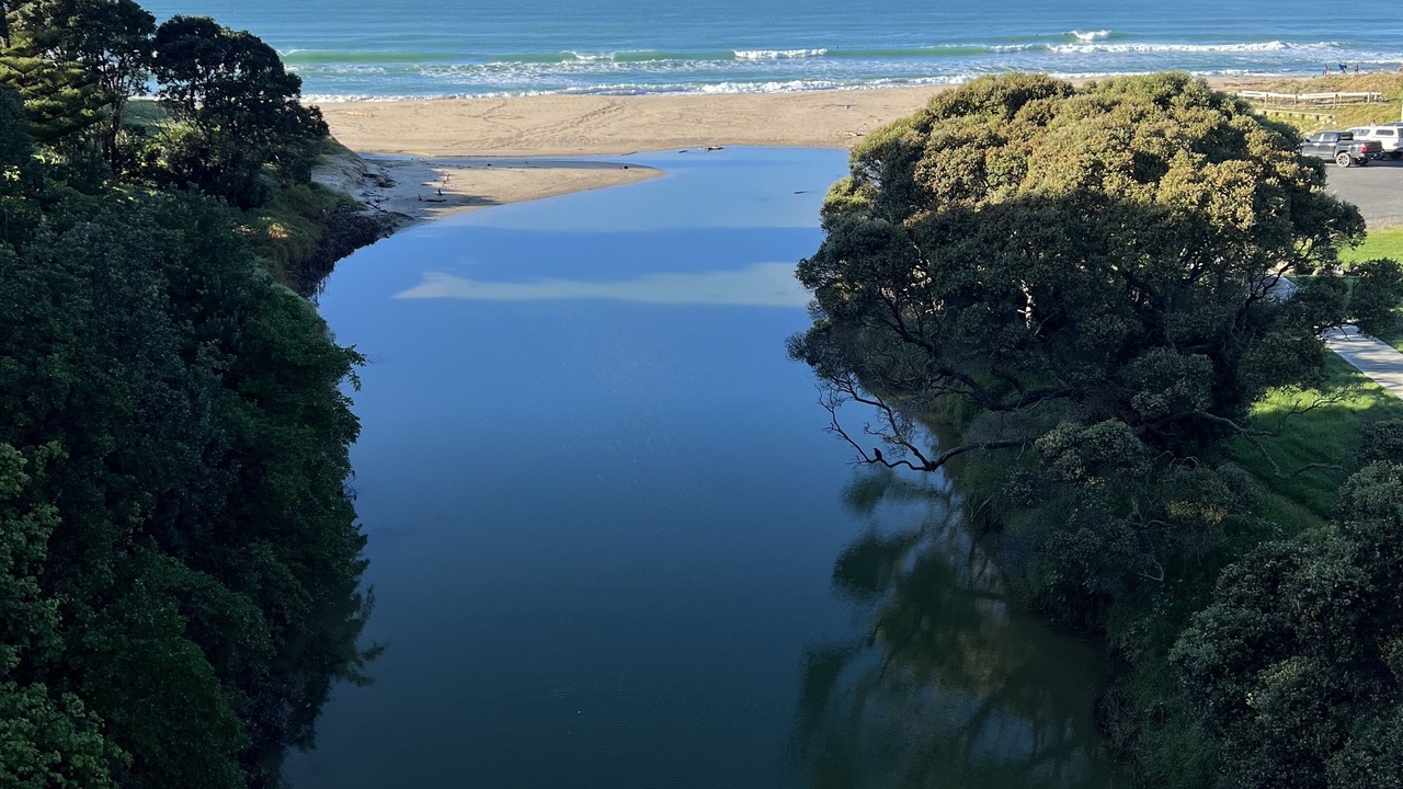 Photo of Others in Wainui