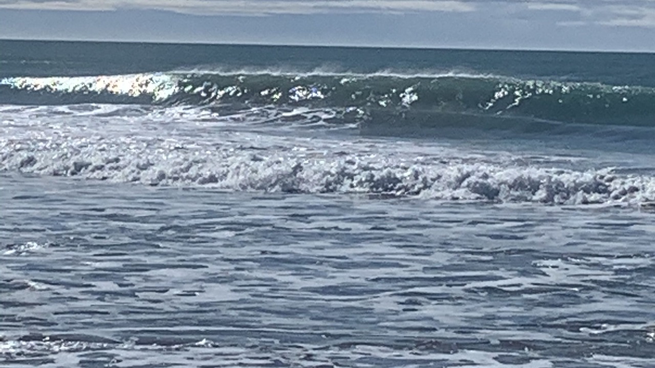 Photo of Others in Wainui