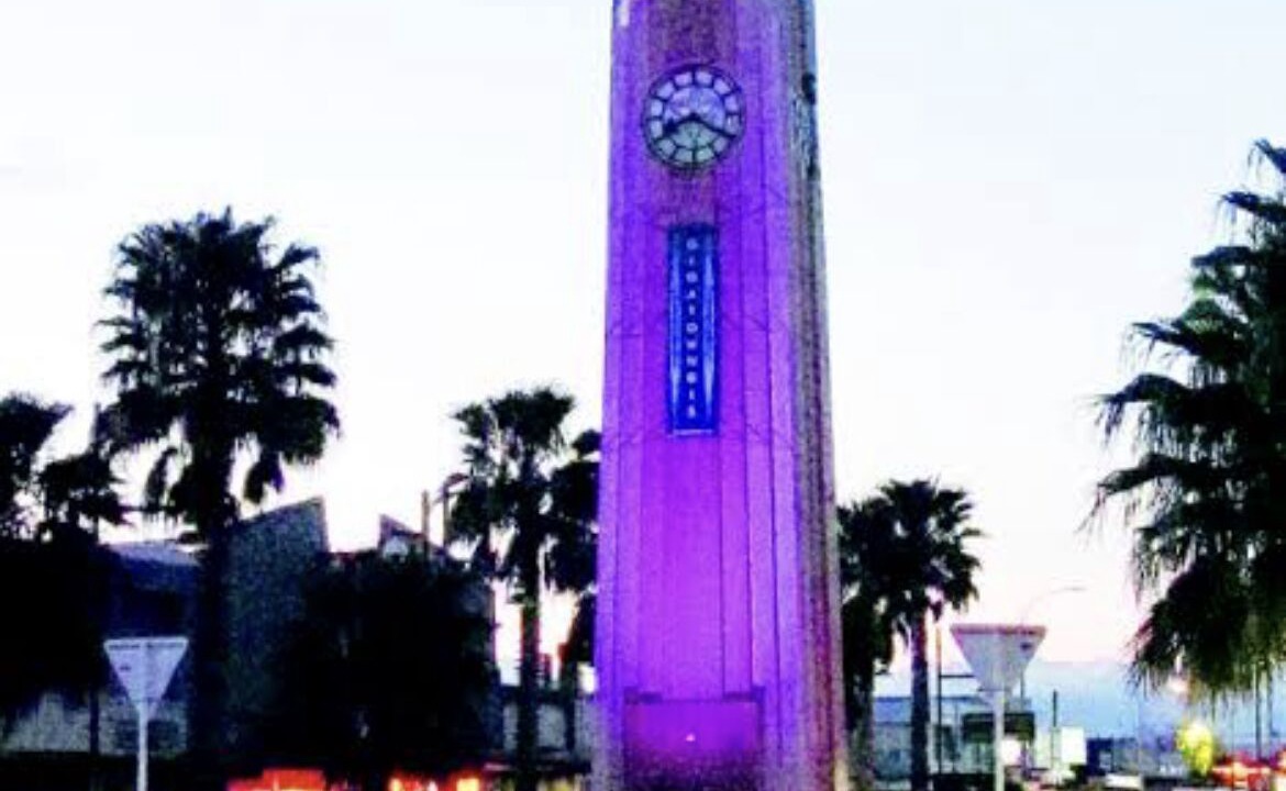 Photo of Others in Wainui