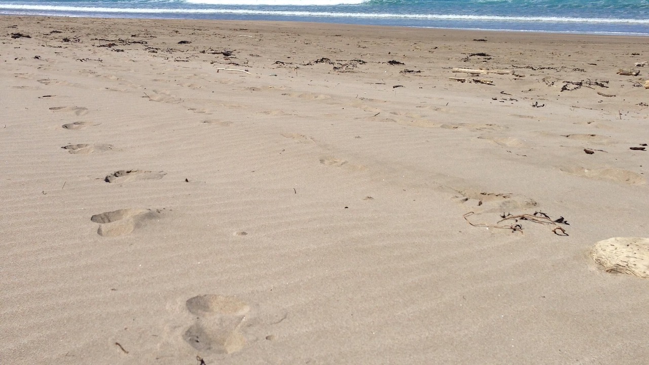 Photo of Others in Wainui