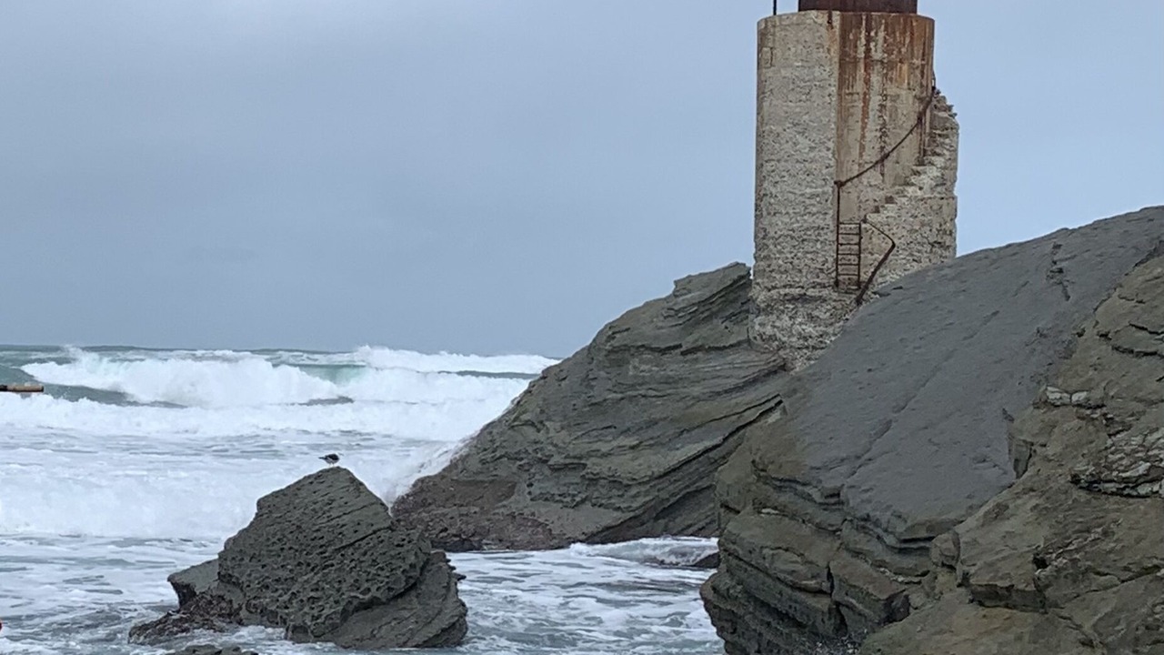 Photo of Others in Wainui