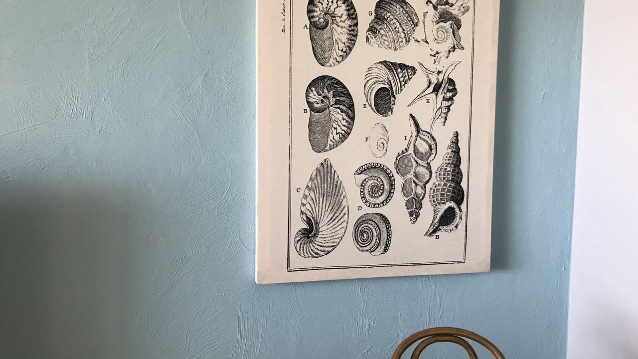 Photo of Others in Glenelg