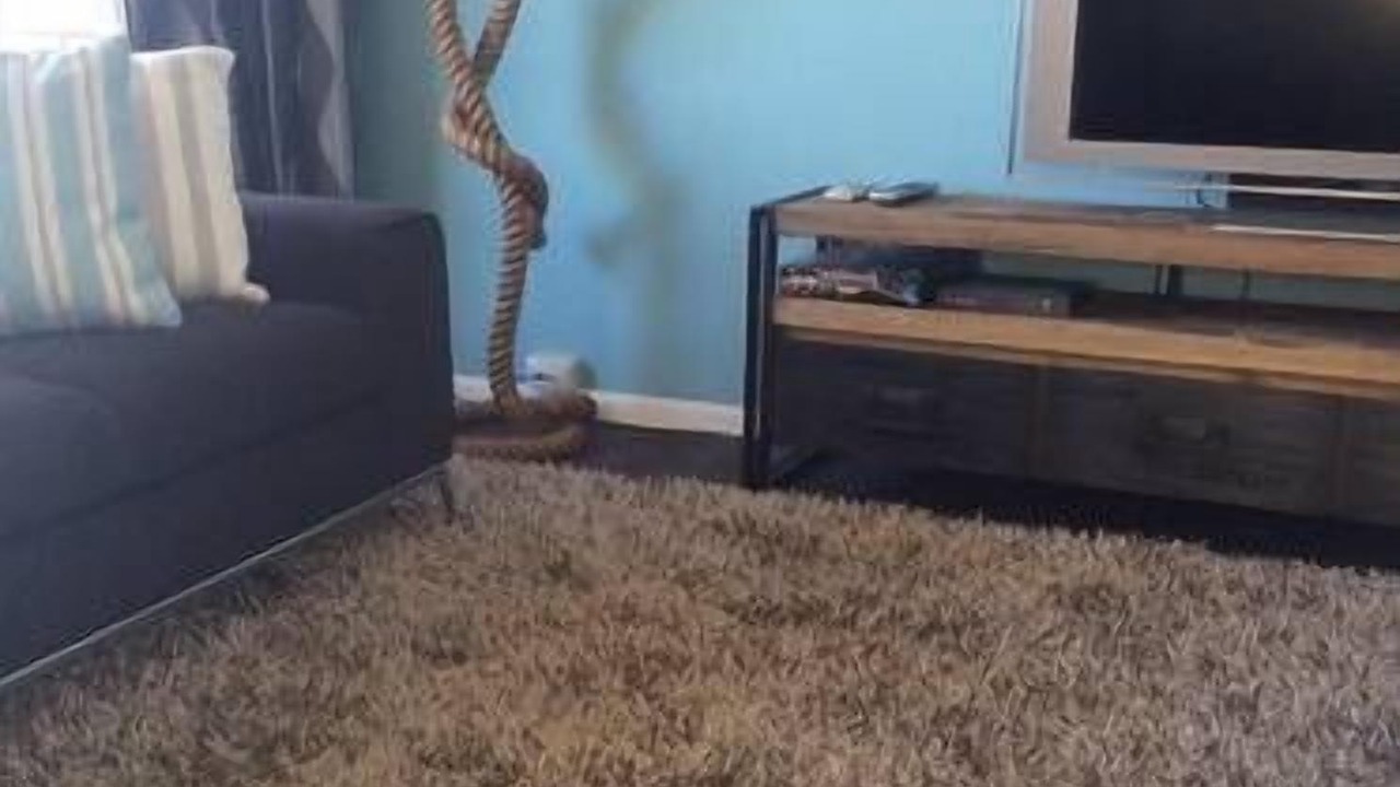 Photo of Livingroom in Glenelg