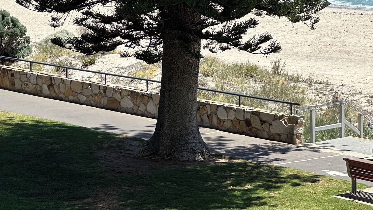 Photo of Outdoor in Glenelg