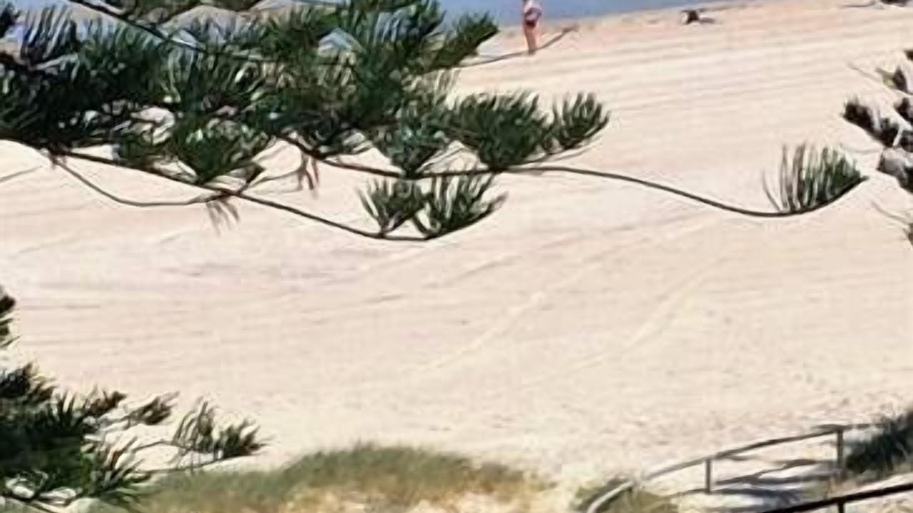 Photo of Others in Glenelg