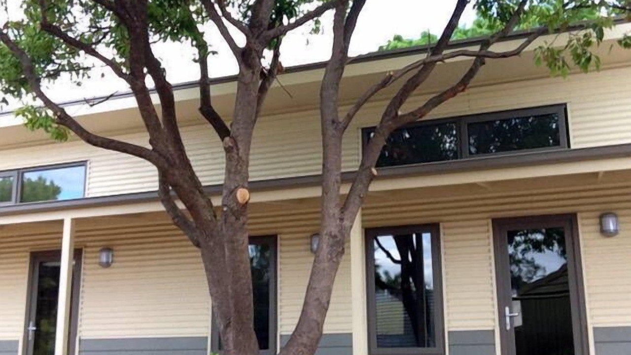 Photo of Outdoor in Willunga