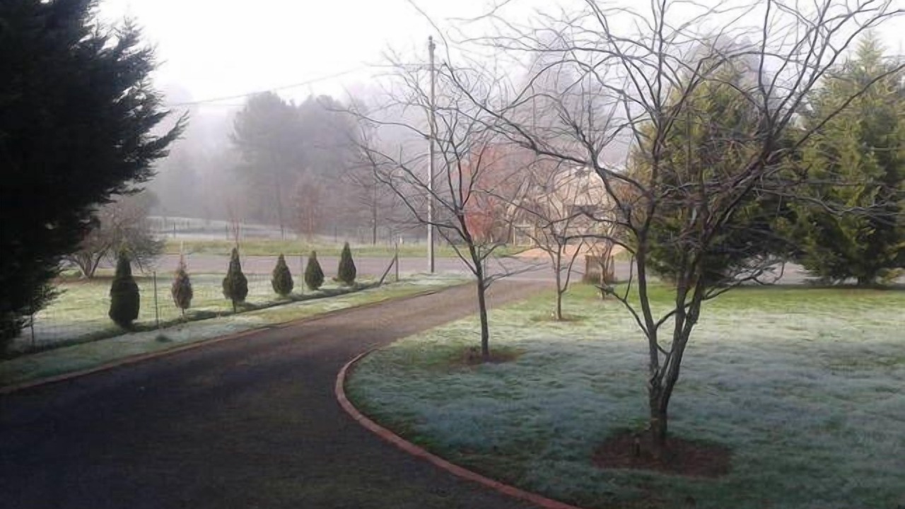 Photo of Outdoor in Eildon