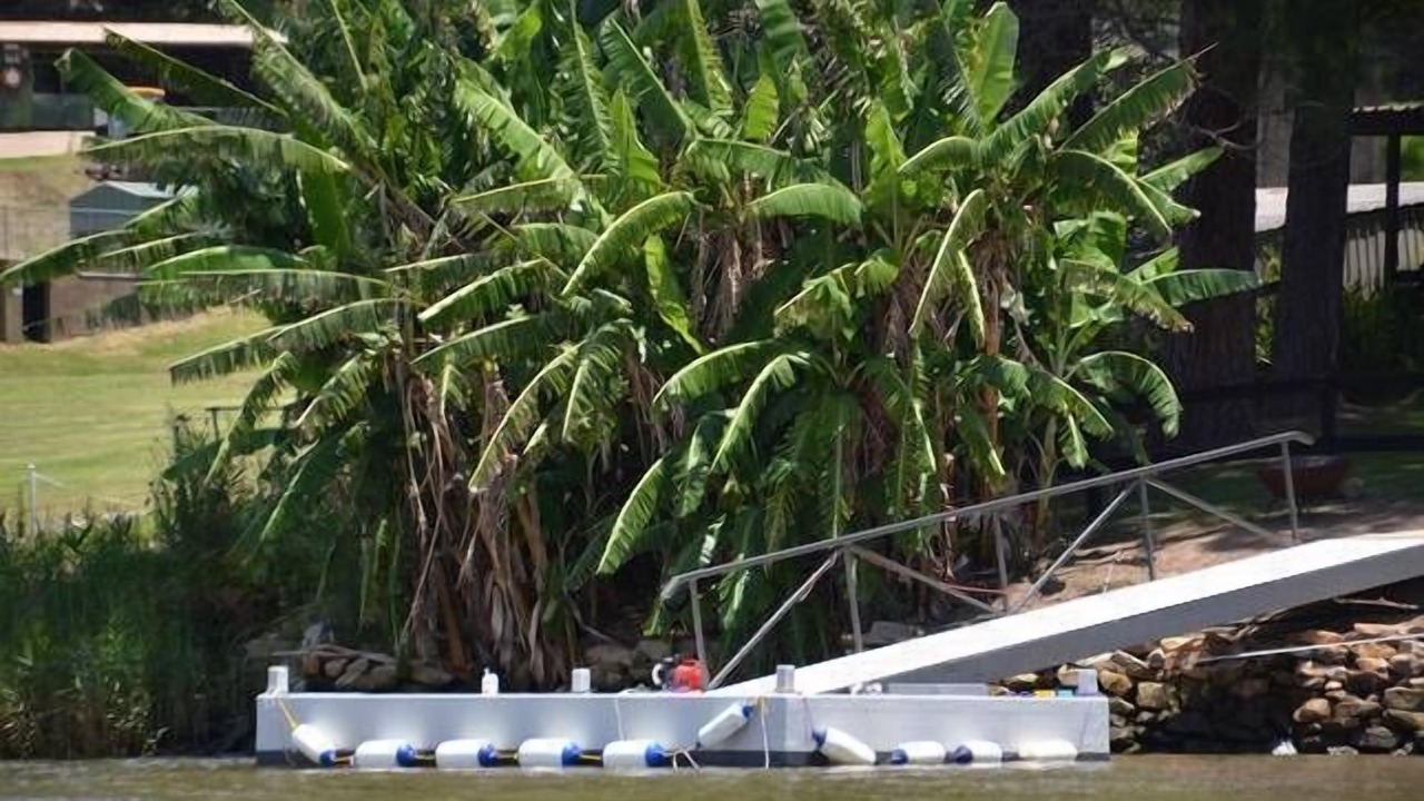 Photo of Others in Lower Portland