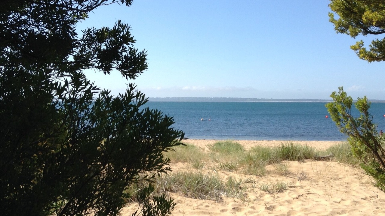 Photo of Others in Ventnor