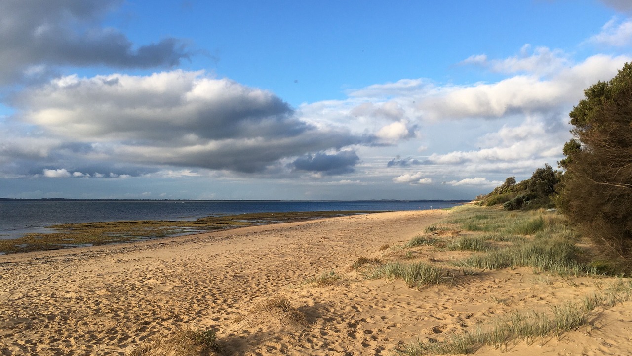 Photo of Others in Ventnor