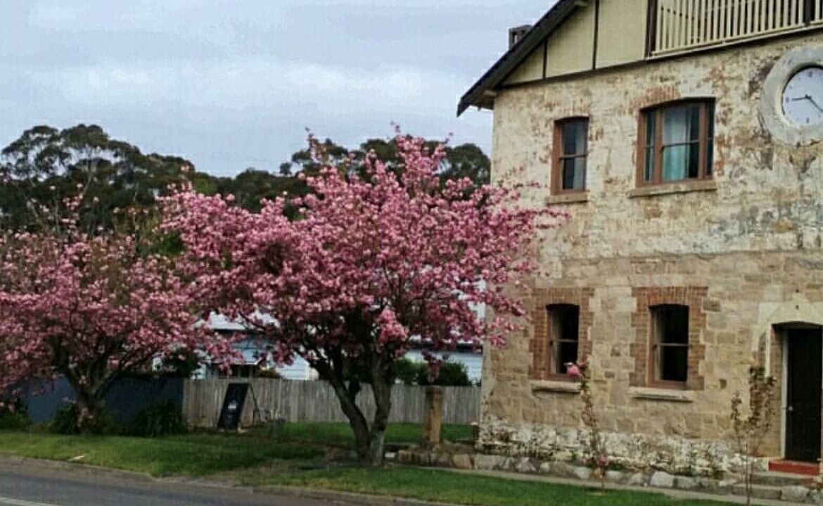 Photo of Others in Bundanoon