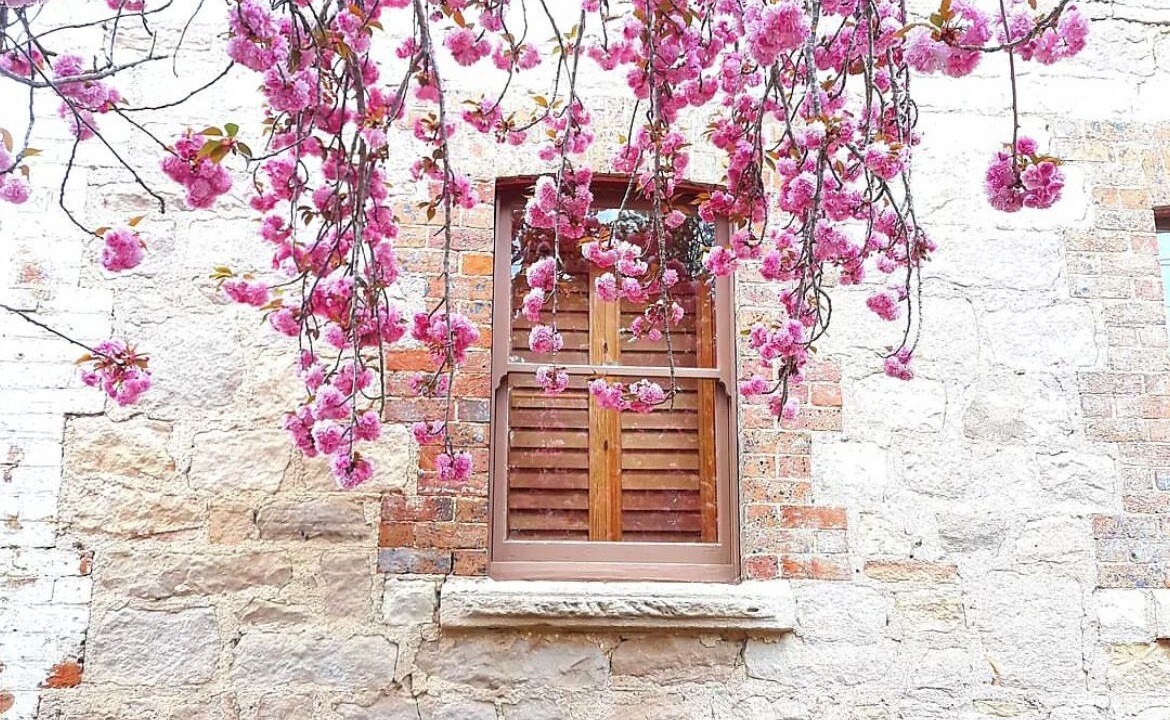 Photo of Others in Bundanoon