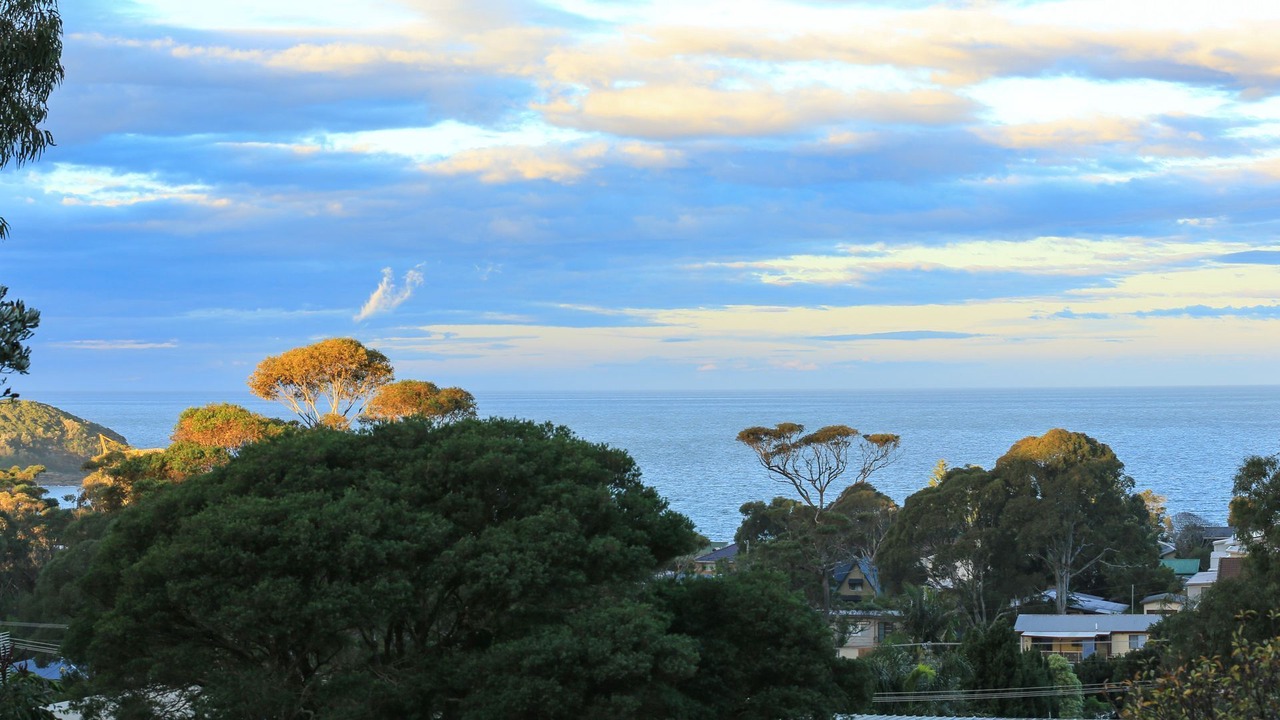 Photo of Others in Mollymook Beach