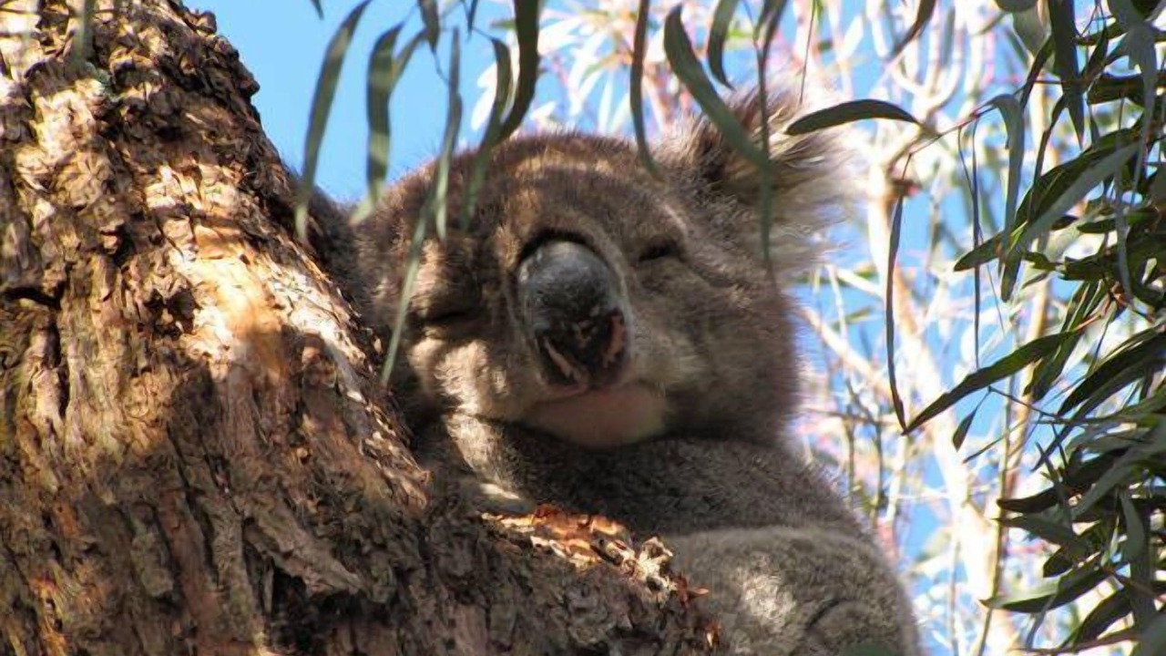 Photo of Outdoor in Somers