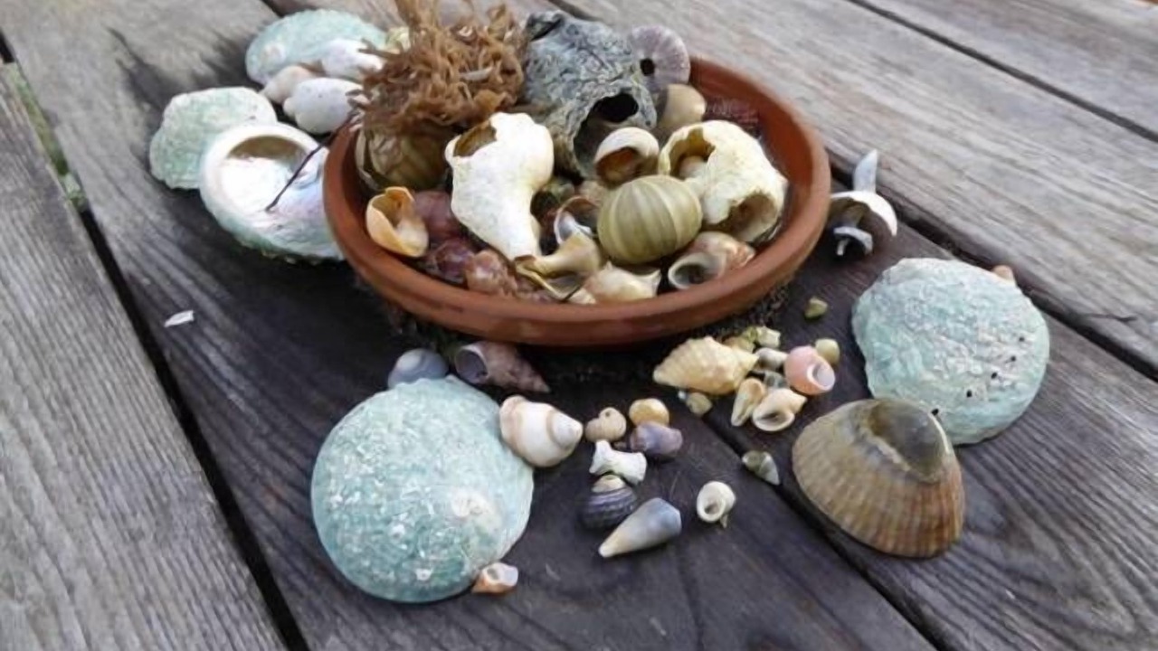 Photo of Others in Somers