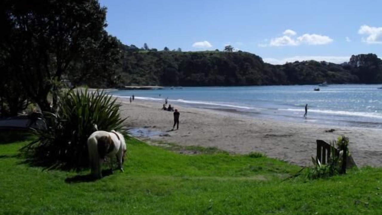 Photo of Others in Palm Beach