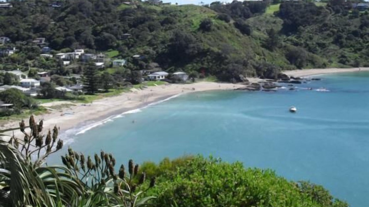 Photo of Others in Palm Beach