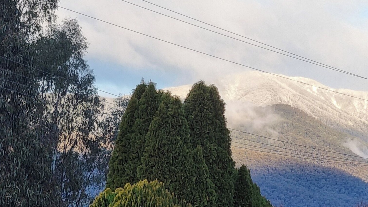 Photo of Others in Tawonga