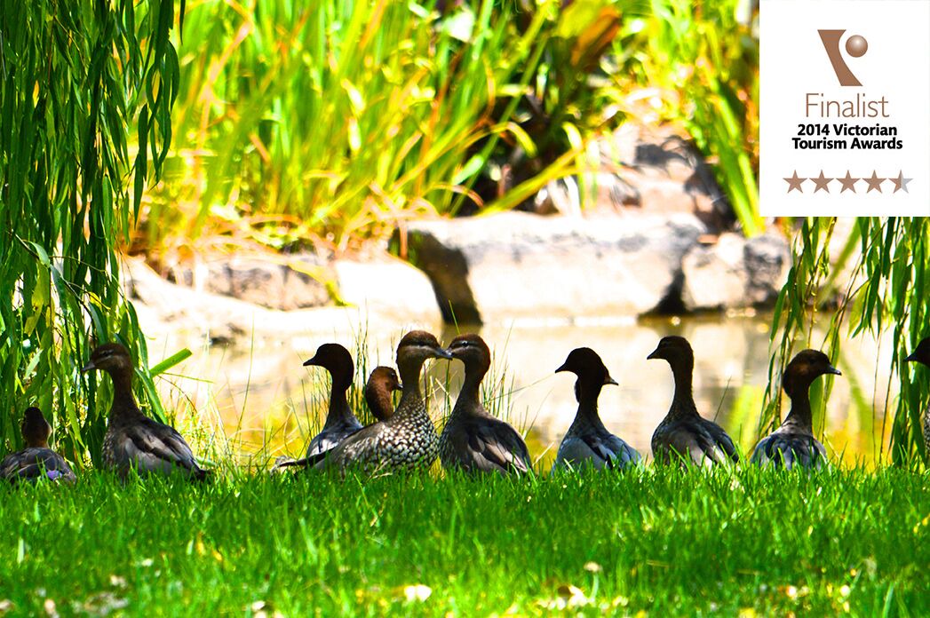 Photo of Outdoor in Kilsyth South