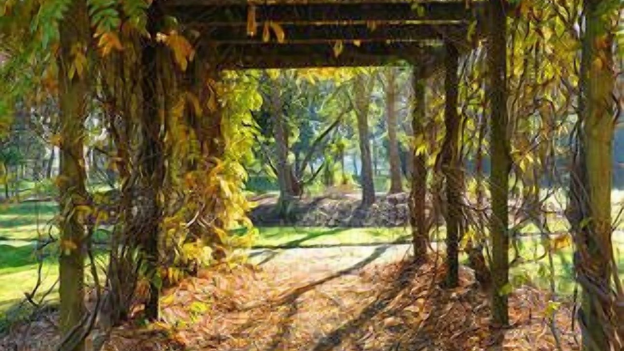 Photo of Outdoor in Kilsyth South