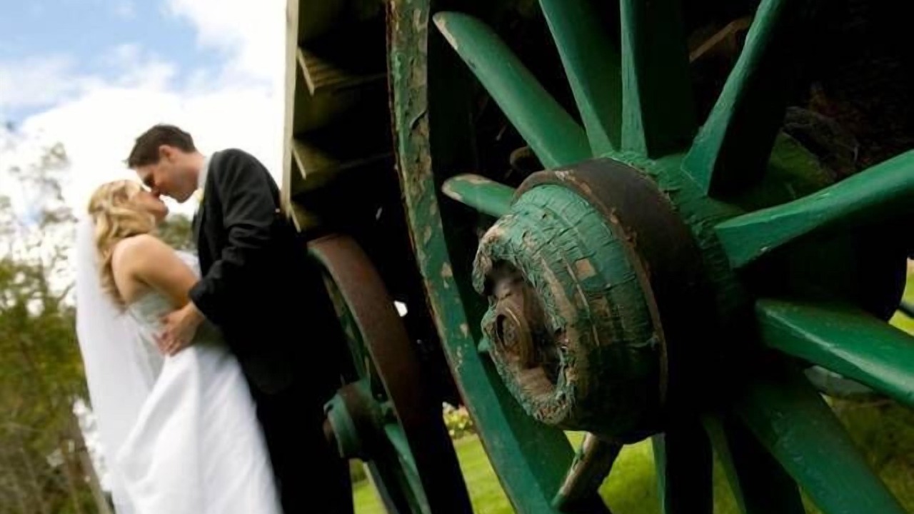 Photo of Others in Kilsyth South