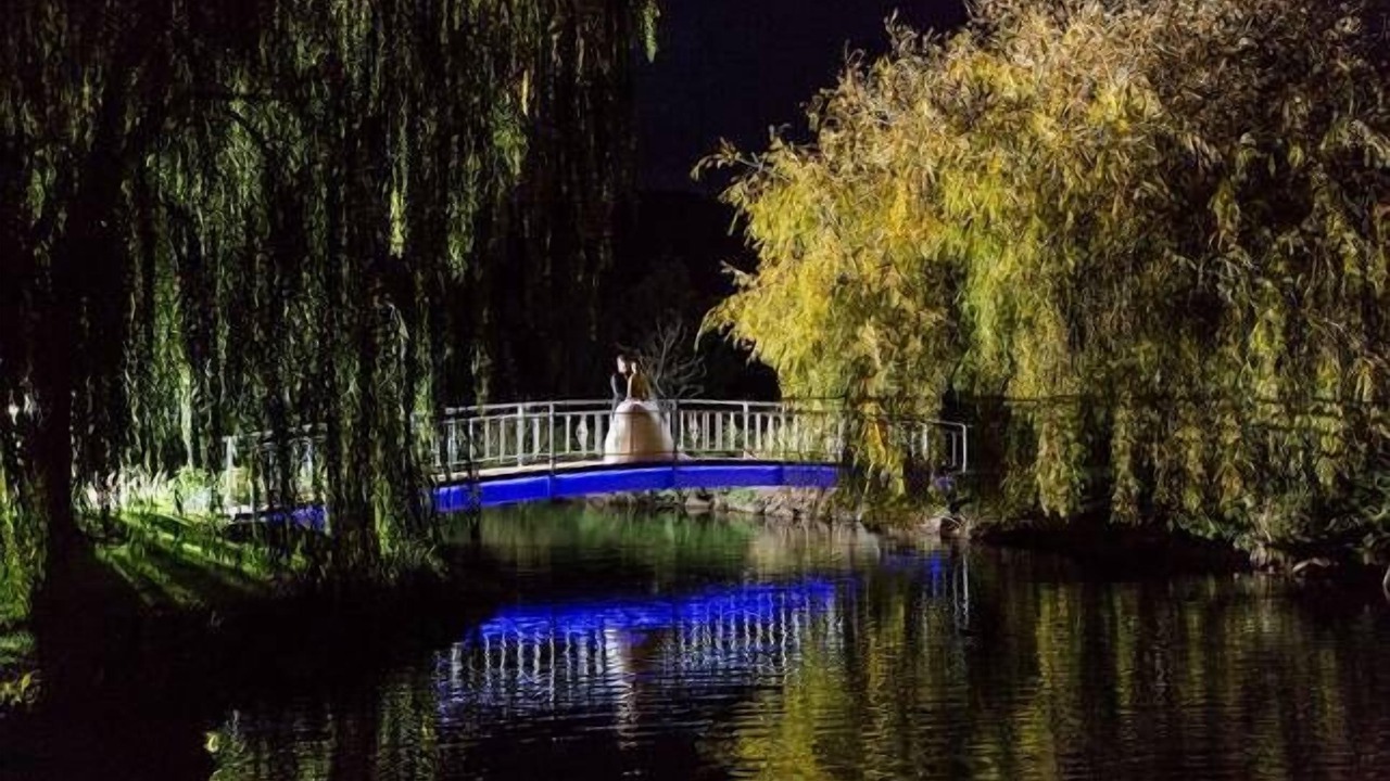 Photo of Others in Kilsyth South