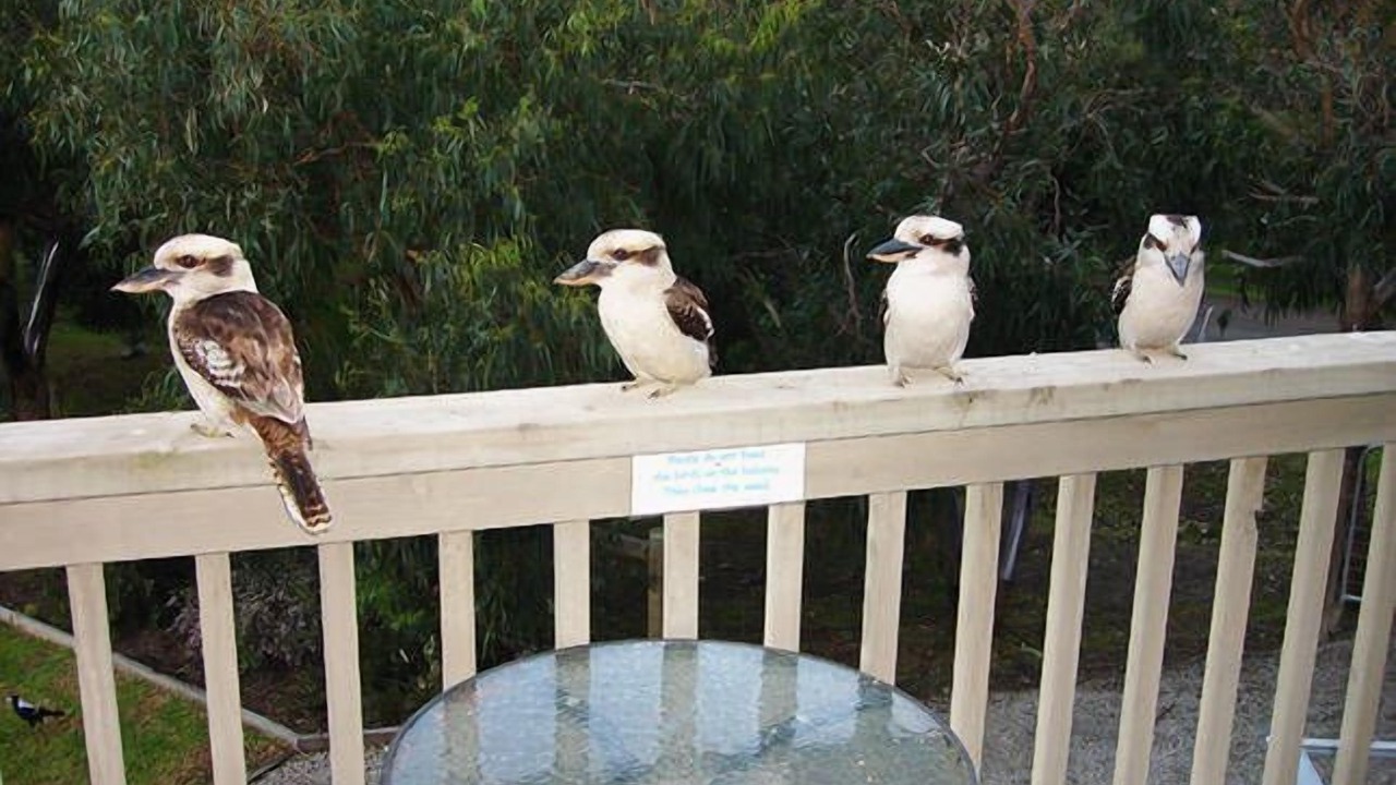 Photo of Outdoor in Kennett River