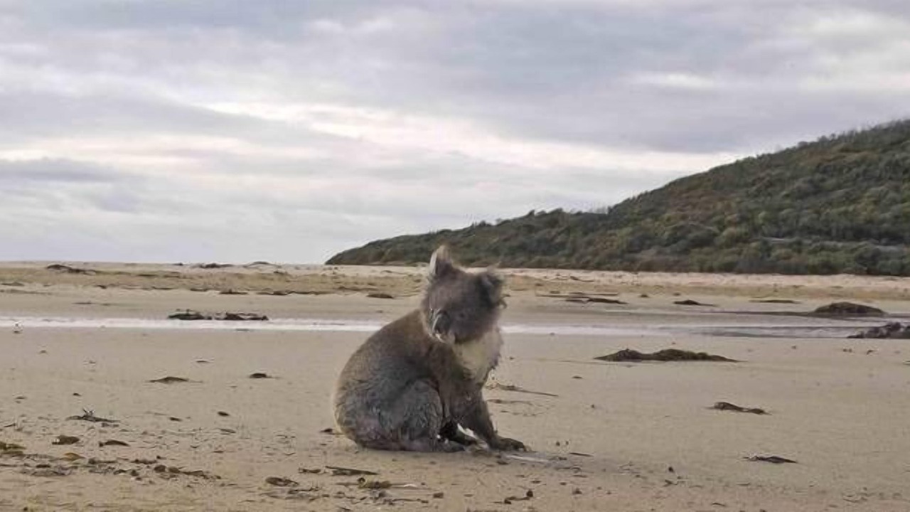 Photo of Others in Kennett River