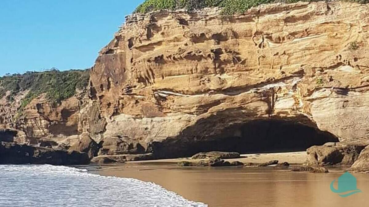 Photo of Others in Swansea