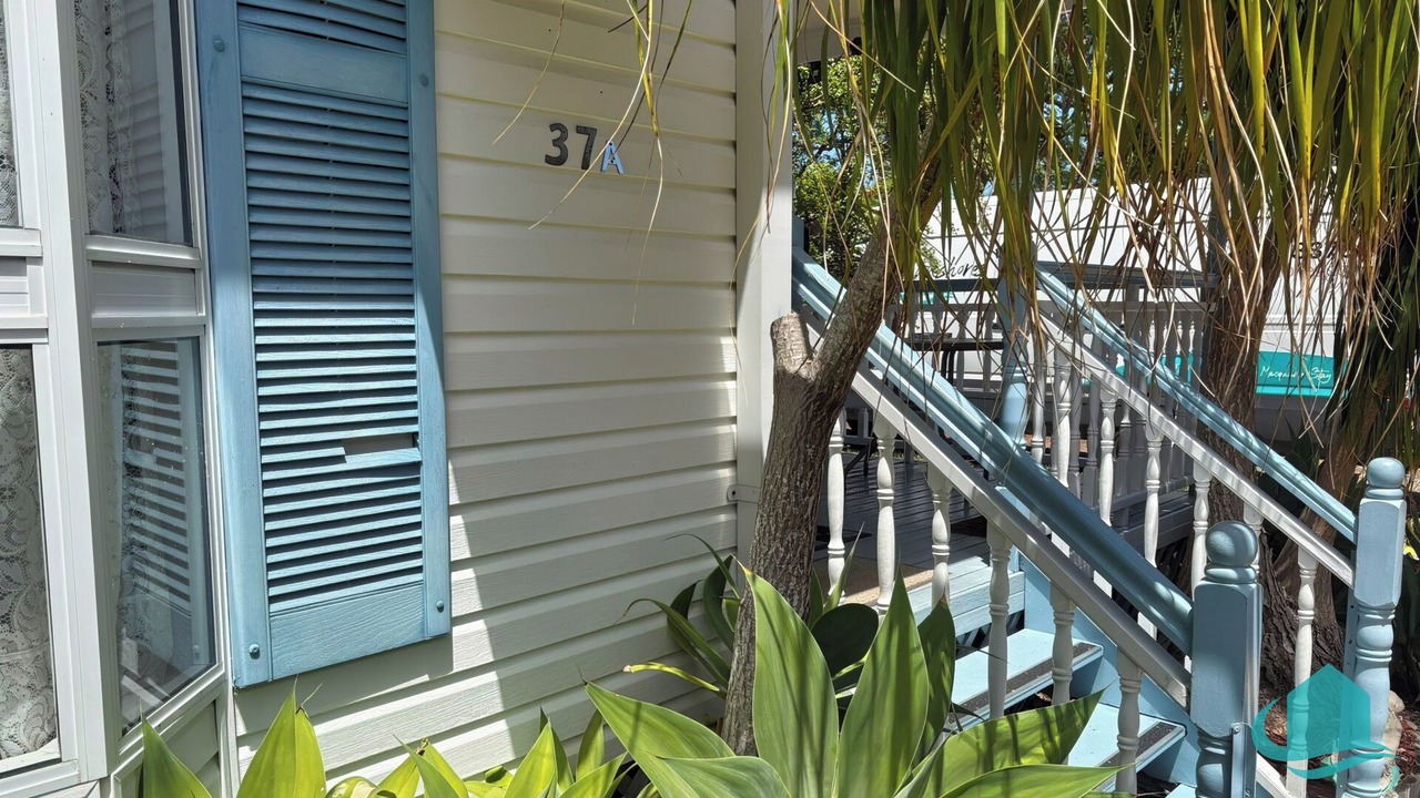 Photo of Outdoor in Swansea