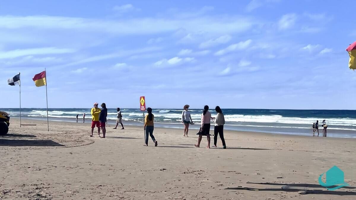 Photo of Others in Swansea