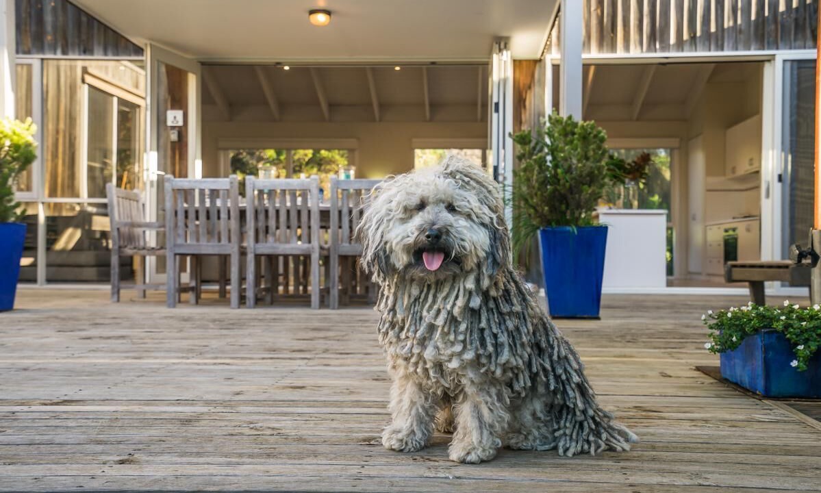 Photo of Outdoor in Blairgowrie