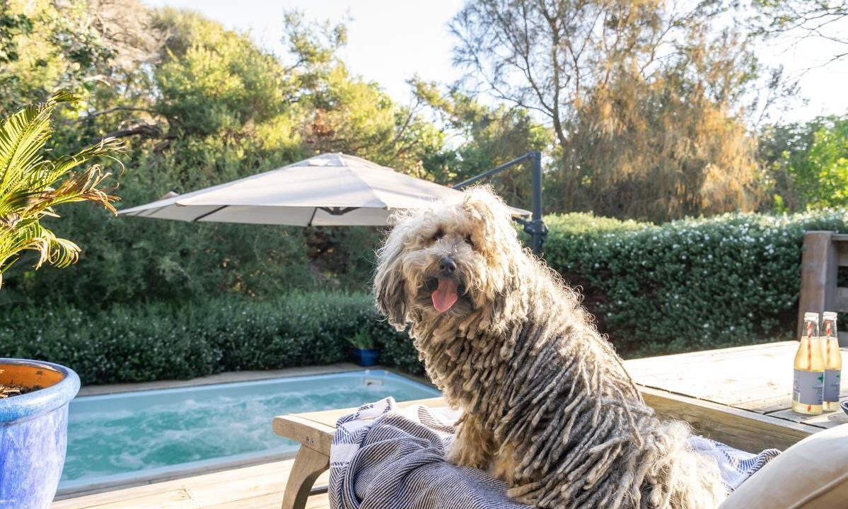 Photo of Outdoor in Blairgowrie