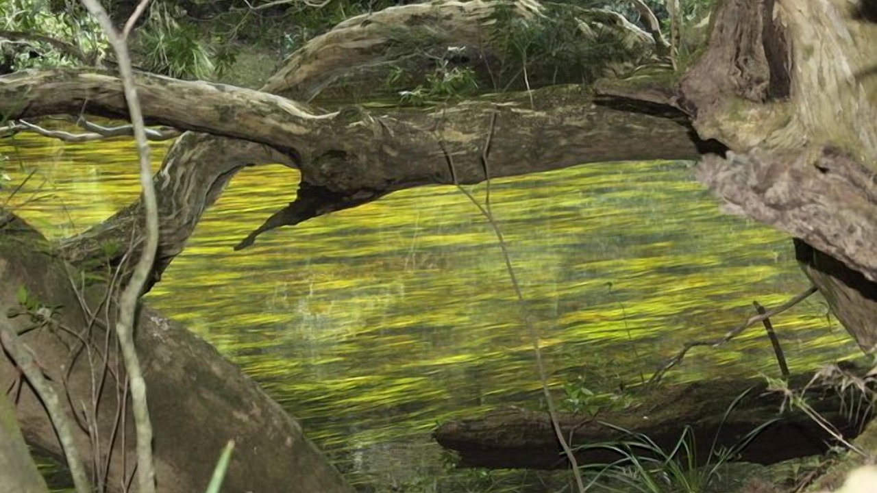 Photo of Outdoor in Morton