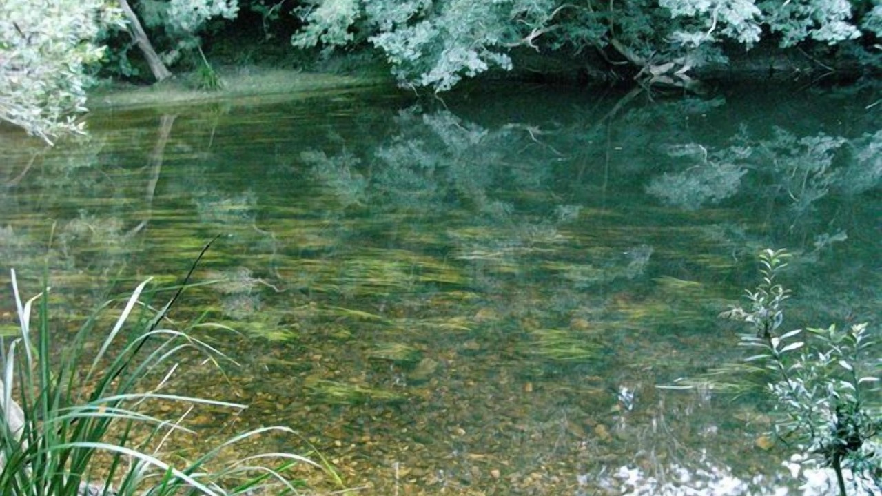 Photo of Others in Morton