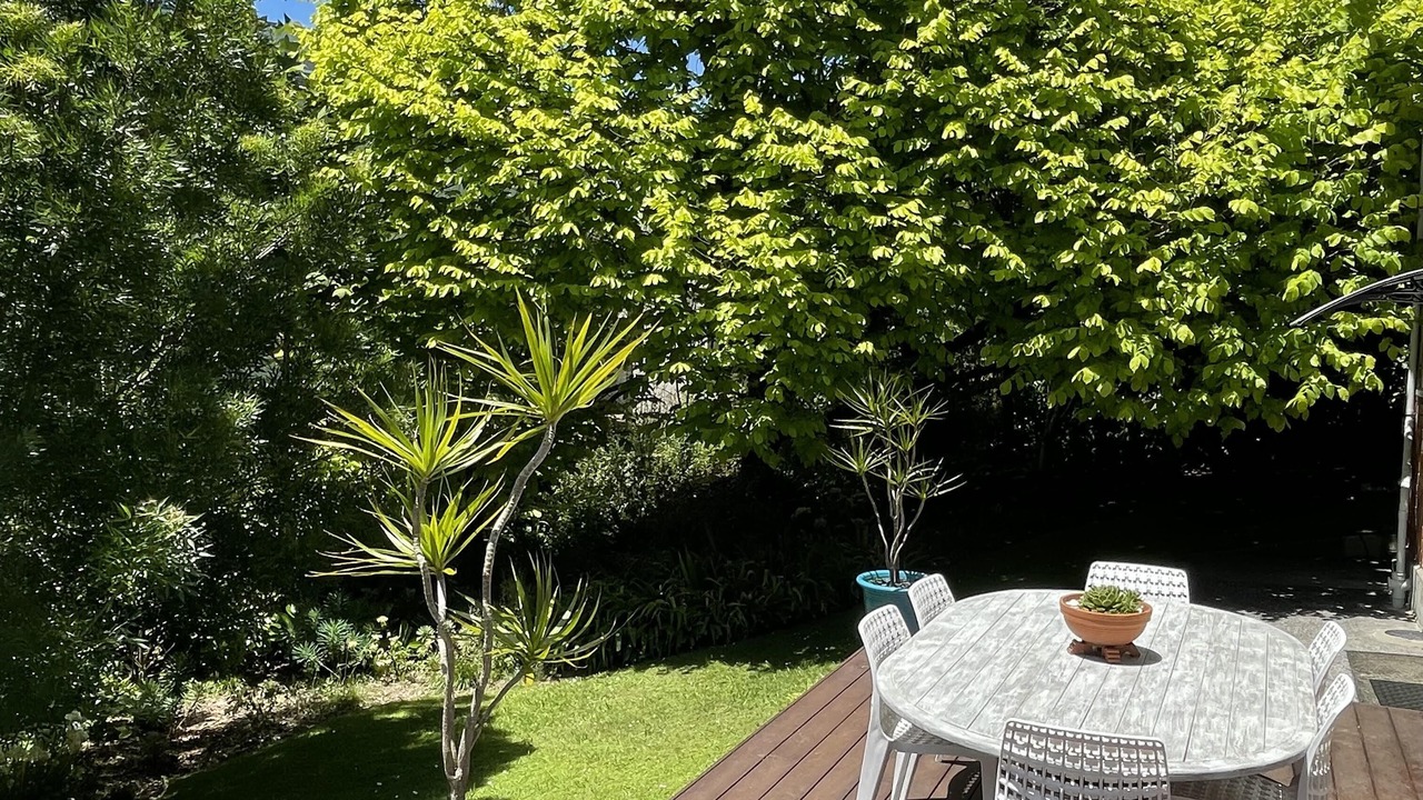 Photo of Others in Mairangi Bay