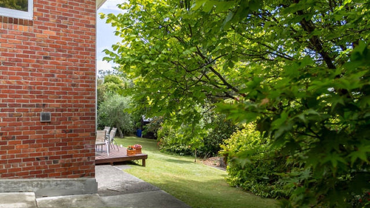 Photo of Others in Mairangi Bay