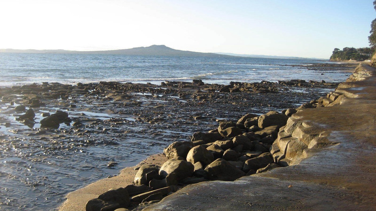 Photo of Others in Mairangi Bay