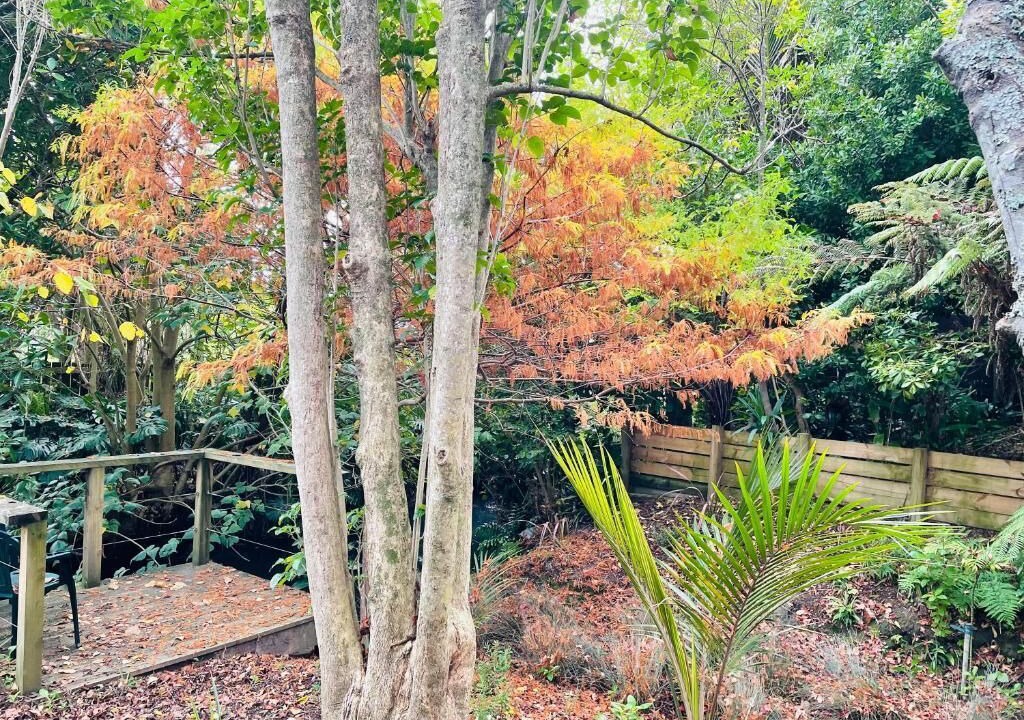 Photo of Outdoor in Mairangi Bay