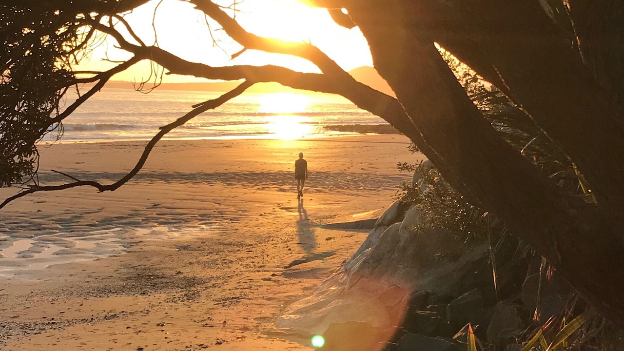 Photo of Others in Mairangi Bay