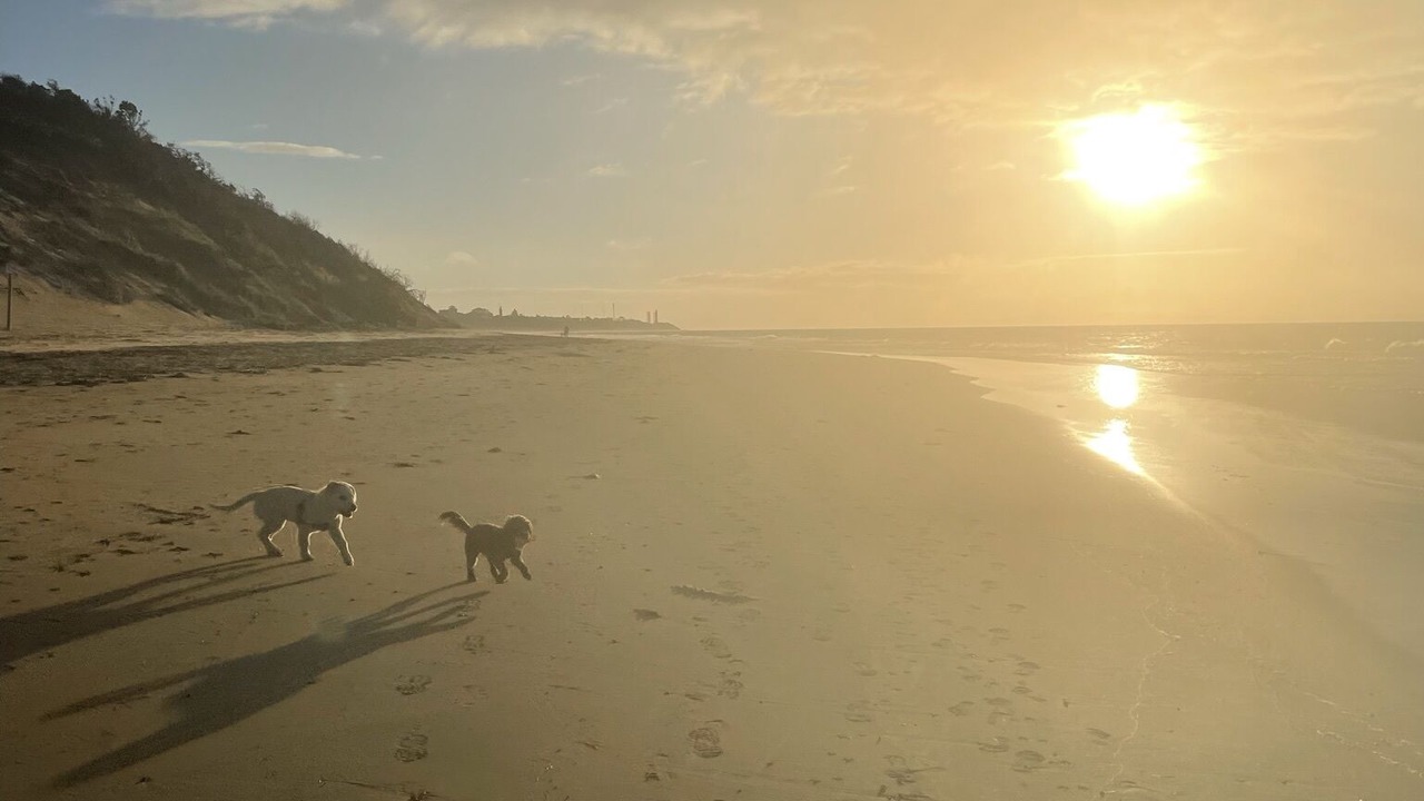 Photo of Others in Queenscliff