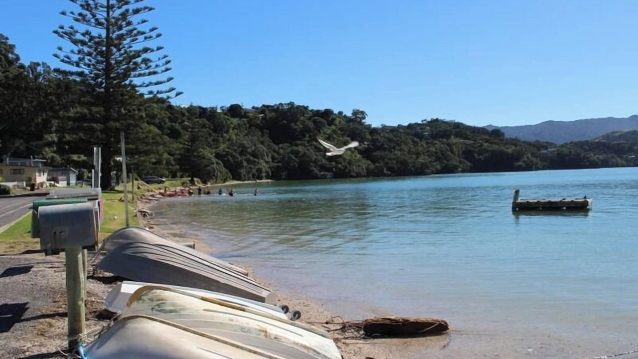 Photo of Others in Coromandel