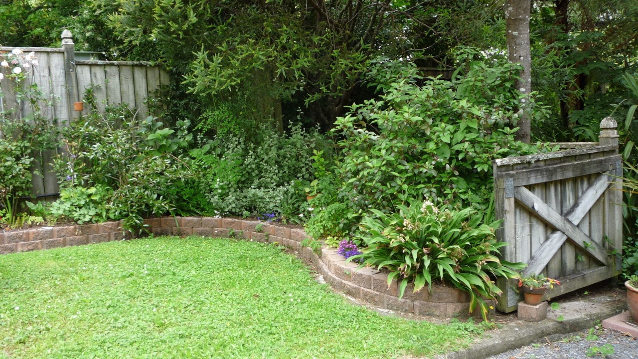 Photo of Others in Pinehaven