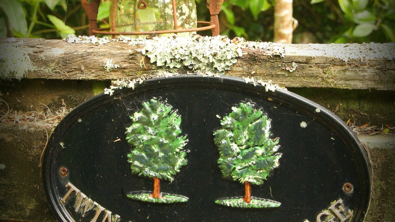 Photo of Outdoor in Pinehaven