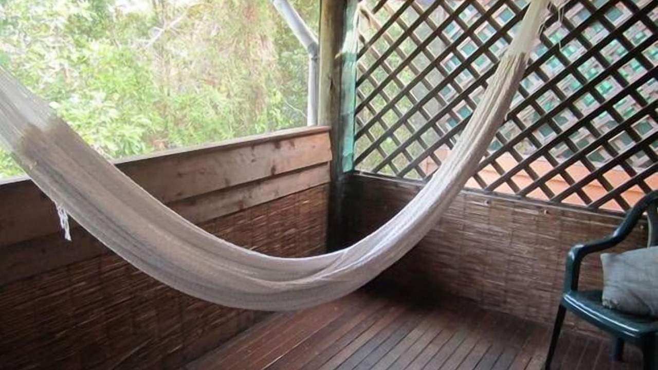 Photo of Outdoor in Forest Creek