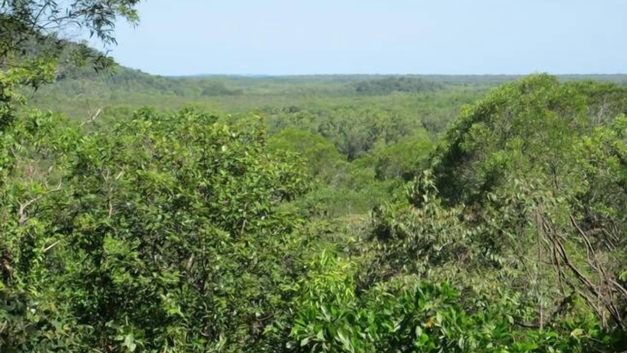 Photo of Outdoor in Forest Creek