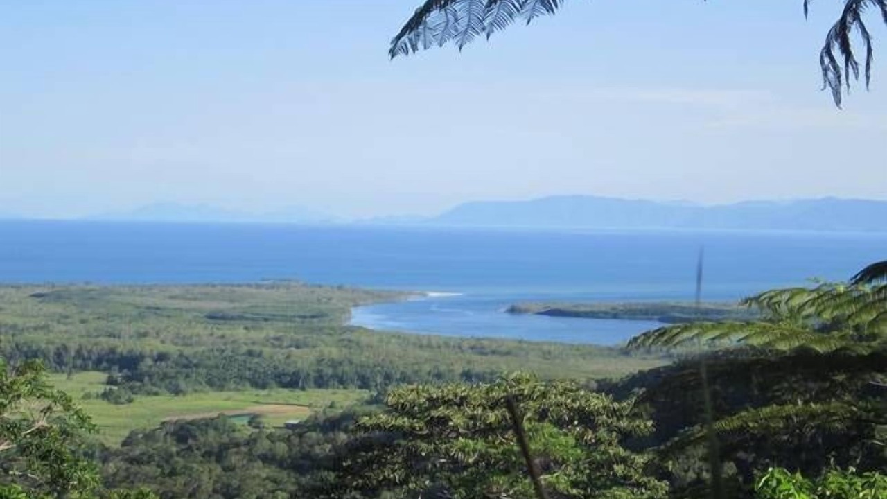 Photo of Others in Forest Creek