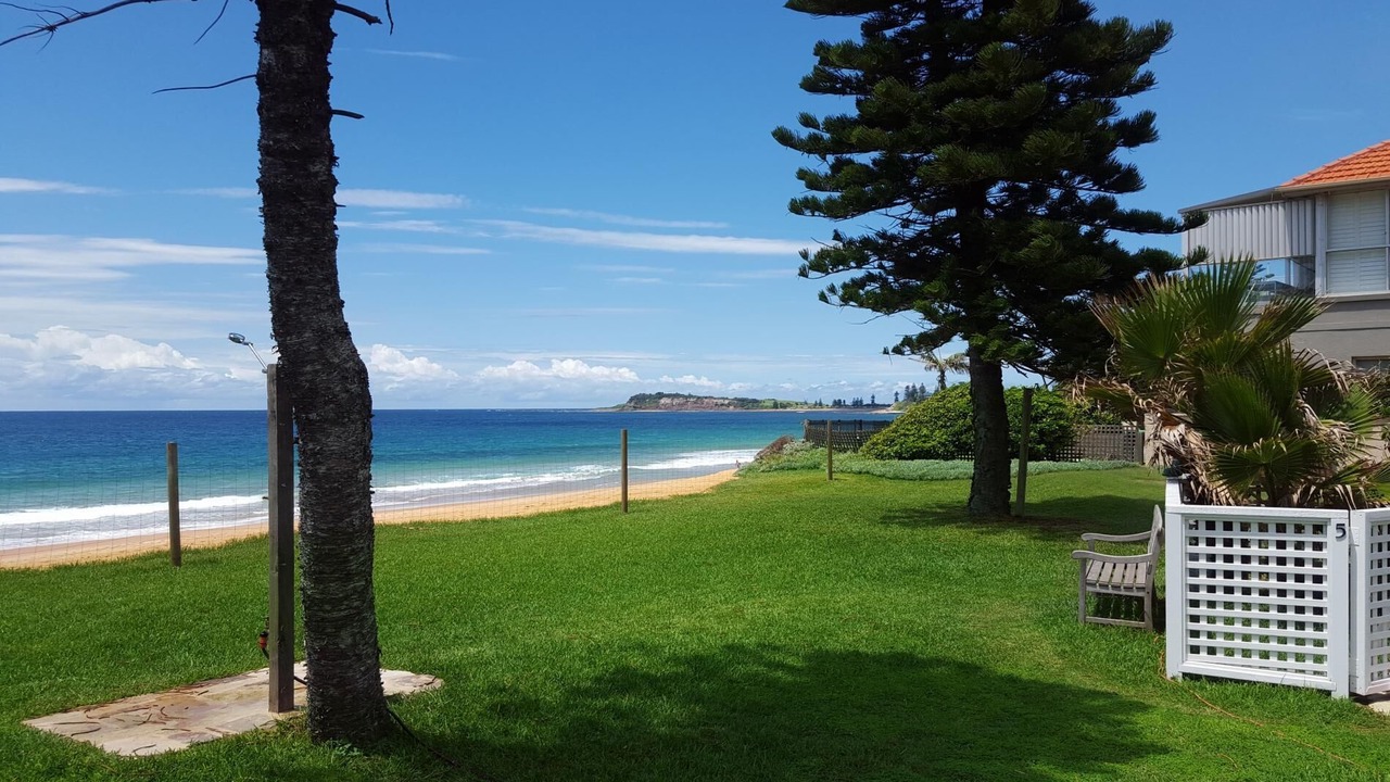 Photo of Others in Narrabeen